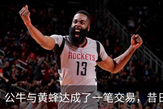 公牛与黄蜂达成了一笔交易，昔日森林狼乐透秀会在黄蜂获得机会？