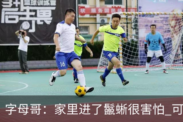 字母哥：家里进了鬣蜥很害怕 可能会考虑搬家