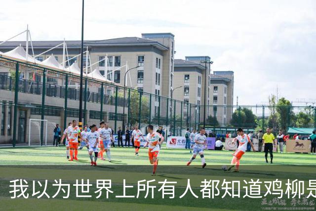 我以为世界上所有人都知道鸡柳是什么？直到我点开了这个帖子…